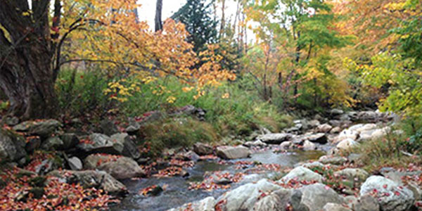 A river in Berkshire county